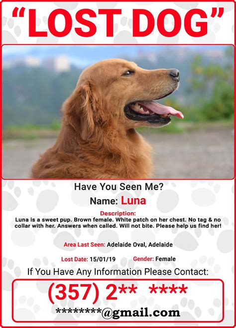 Lost Pets .